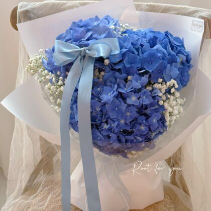 Morning Dew Hydrangea